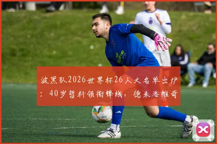 波黑队2026世界杯26人大名单出炉:40岁哲科领衔锋线,德米洛维奇入选,阵容解析与看点前瞻